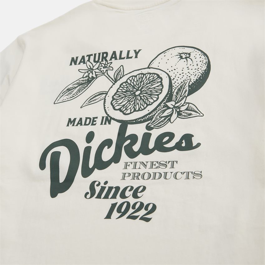 Dickies T-shirts RAVEN TEE DK0A4YYMC58 OFF WHITE